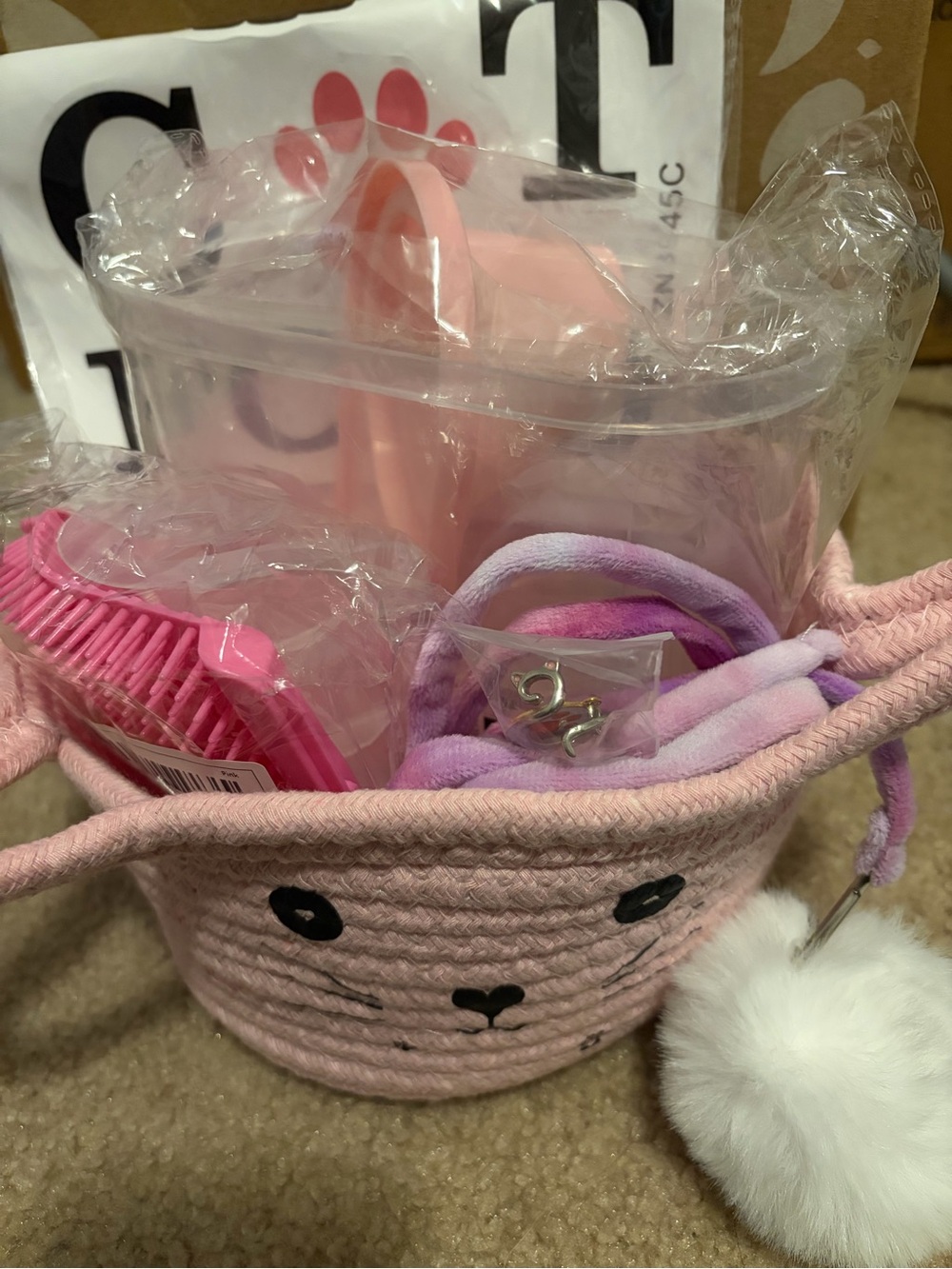 Unused Cat Supply Gift Basket!!